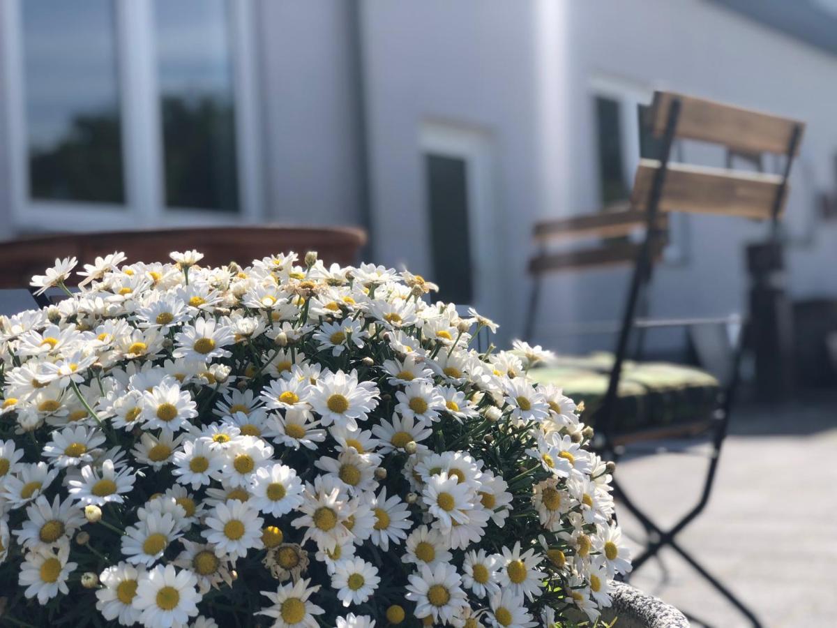 Pension Zum Stein Hohenkirchen  Екстер'єр фото